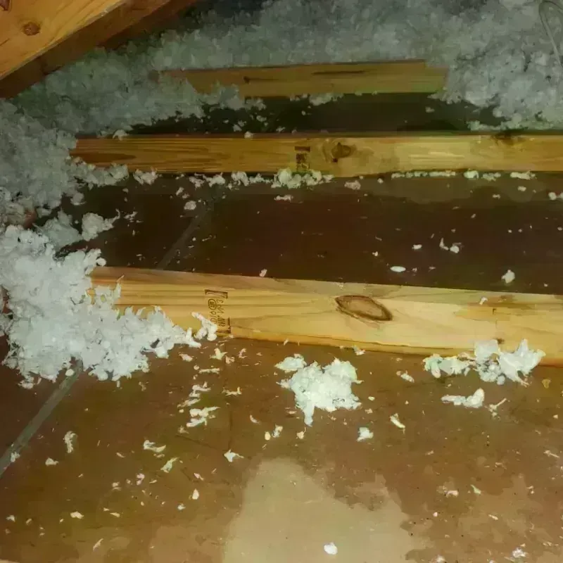 Attic Water Damage in Fincastle, VA